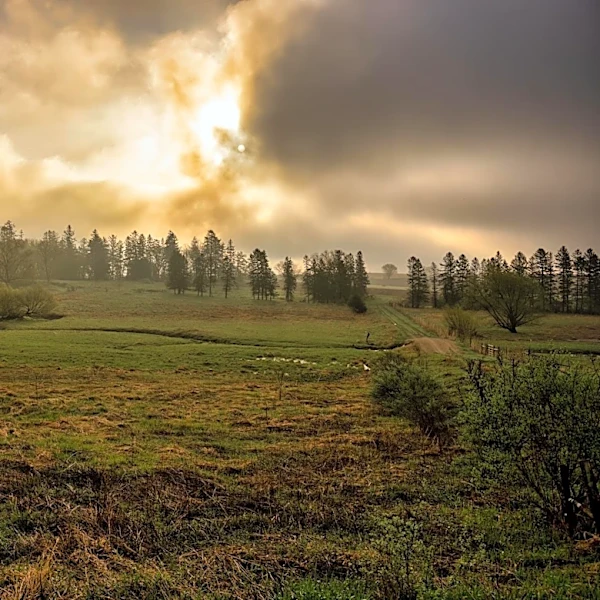 Sunny and Mild Weather Expected Across Minnesota on May 20, 2026