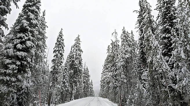 Heavy Snow Warning Issued for Montana and Wyoming with Up to 13 Inches Expected