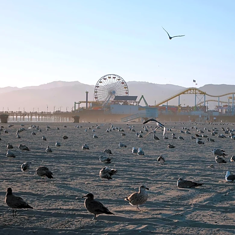 Santa Monica Pier Among California's Dirtiest Beaches for Fifth Year