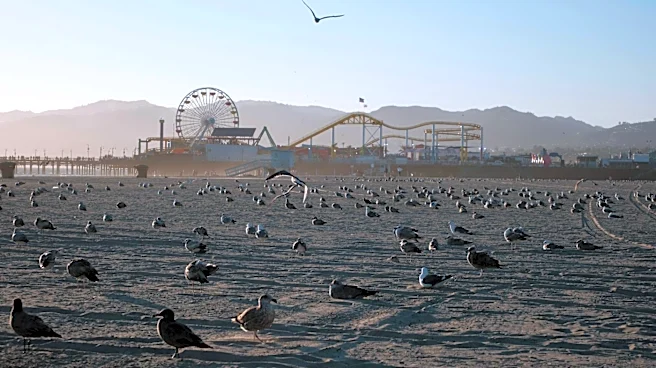 Santa Monica Pier Among California's Dirtiest Beaches for Fifth Year