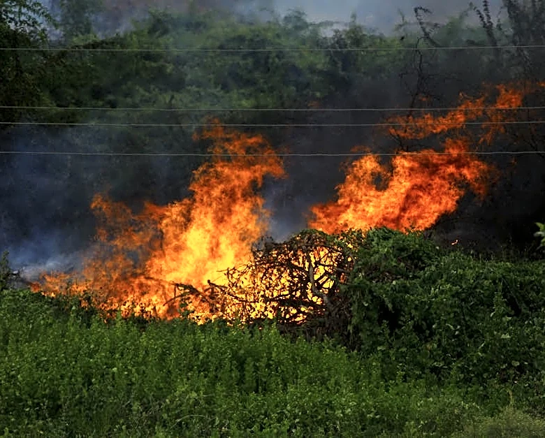 Wildfire Outbreak Burns Thousands of Acres Nationwide