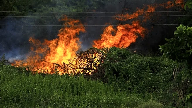 Wildfire Outbreak Burns Thousands of Acres Nationwide