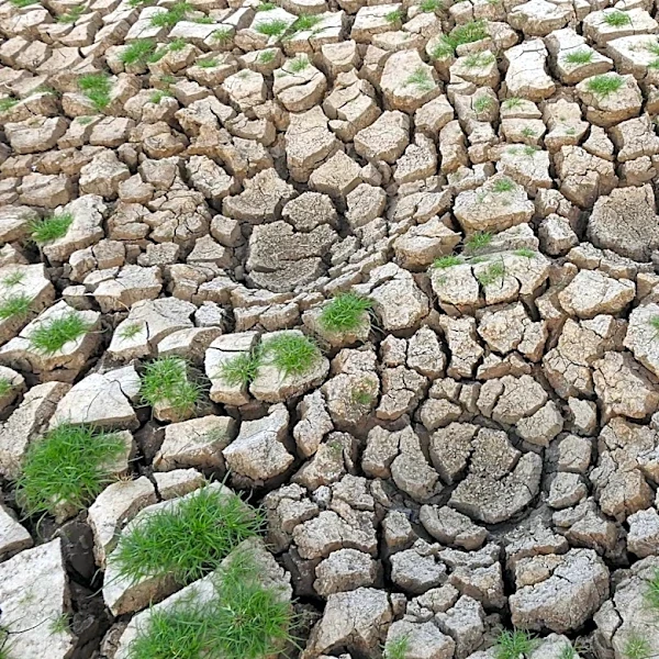Global Preparations Underway for Potentially Strong El Niño in 2026