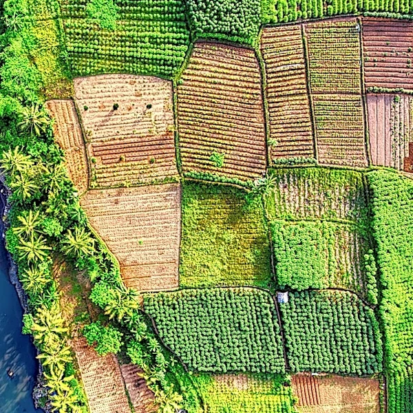 Satellite Remote Sensing and Smart Irrigation Transform Global Agriculture
