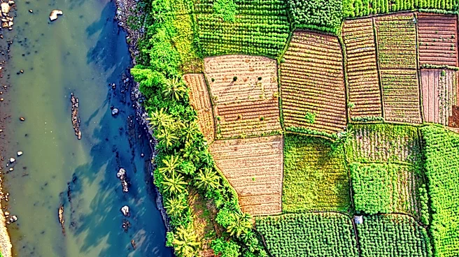 Satellite Remote Sensing and Smart Irrigation Transform Global Agriculture