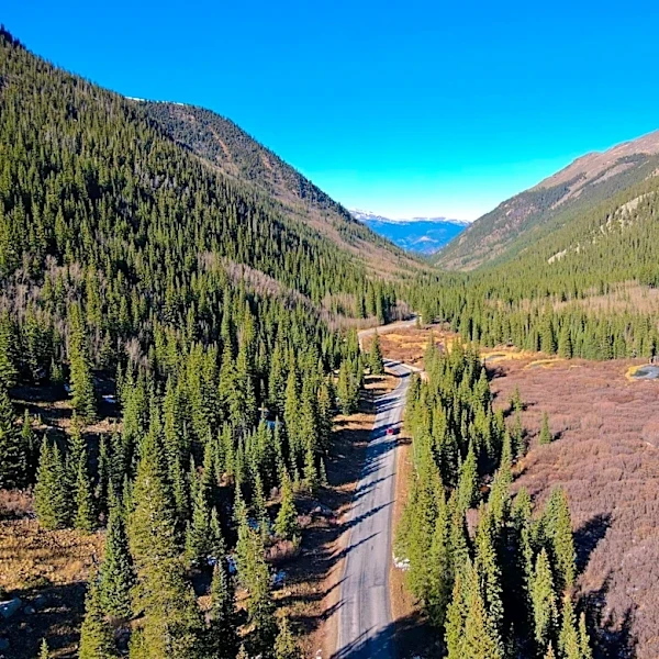 Colorado's Scenic Wildflower Drives: Summer Bloom Highlights