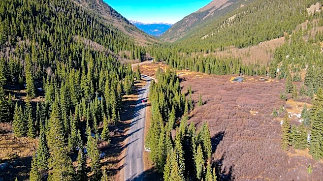 Colorado's Scenic Wildflower Drives: Summer Bloom Highlights