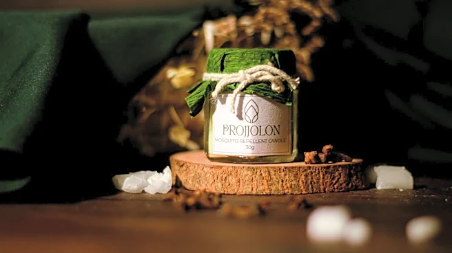 Citronella Candles and Summer Essentials on Sale