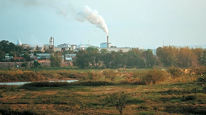Global Rice Paddy Greenhouse Gas Emissions Double Over Six Decades