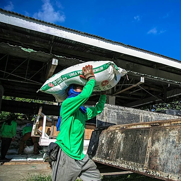 Global Food Security Threatened by El Niño and Iran Conflict