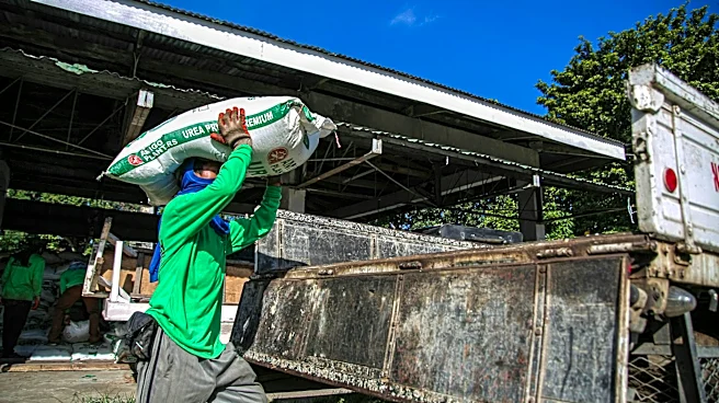 Global Food Security Threatened by El Niño and Iran Conflict