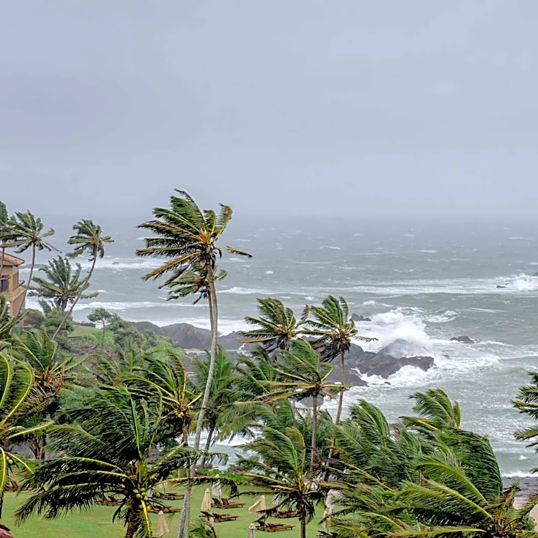 El Niño's Potential Impact on Global Monsoon Patterns