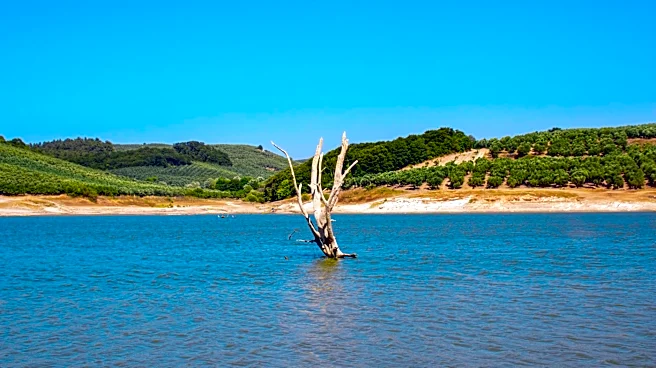 Global Lake Anoxia Projected to Worsen Under Climate Change by 2099