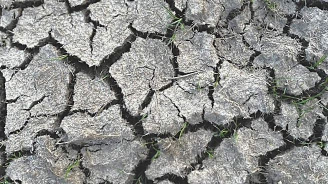 Old Farmer’s Almanac Predicts Hotter, Drier Summer Across U.S.