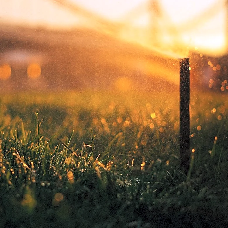 Severe Droughts Across the U.S. Prompt Water Restrictions and Lawn Scrutiny