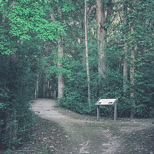 Guided Hikes Scheduled at Henderson Heritage Preserve in Aiken, SC