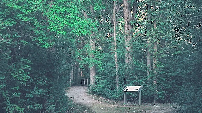Guided Hikes Scheduled at Henderson Heritage Preserve in Aiken, SC
