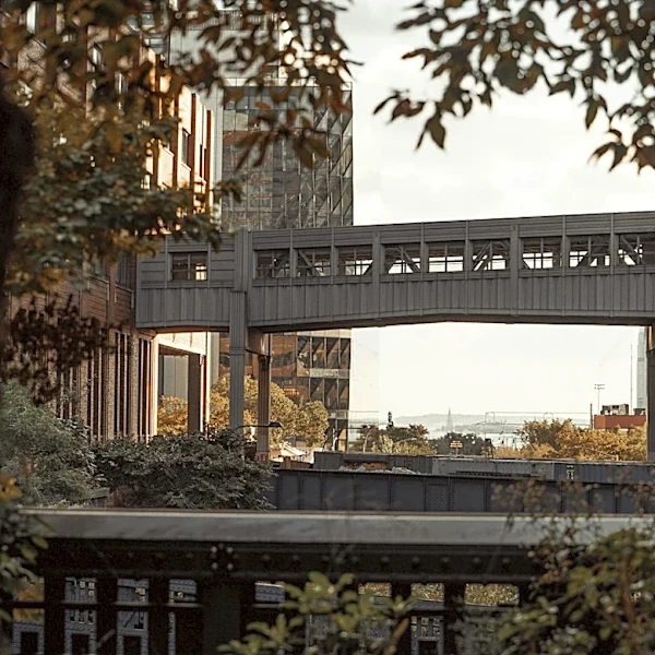 Chelsea, New York: A Journey Through Weather and Urban Transformation
