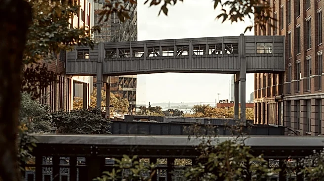 Chelsea, New York: A Journey Through Weather and Urban Transformation