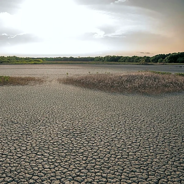 Extreme Heat Threatens Global Agriculture Amid Limited Climate Finance