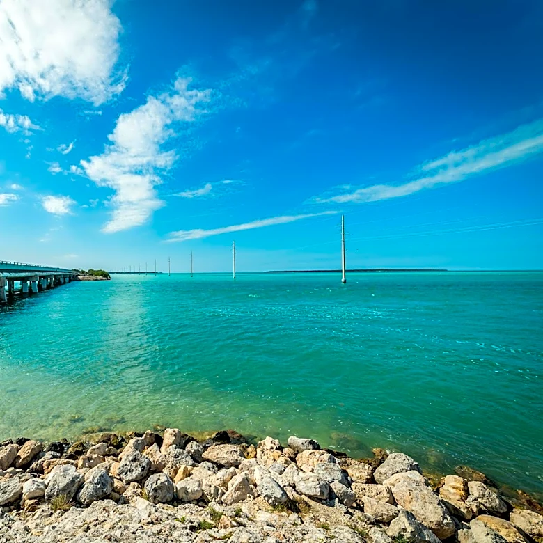 Florida Ranks Third for Summer Road Trips, Study Finds