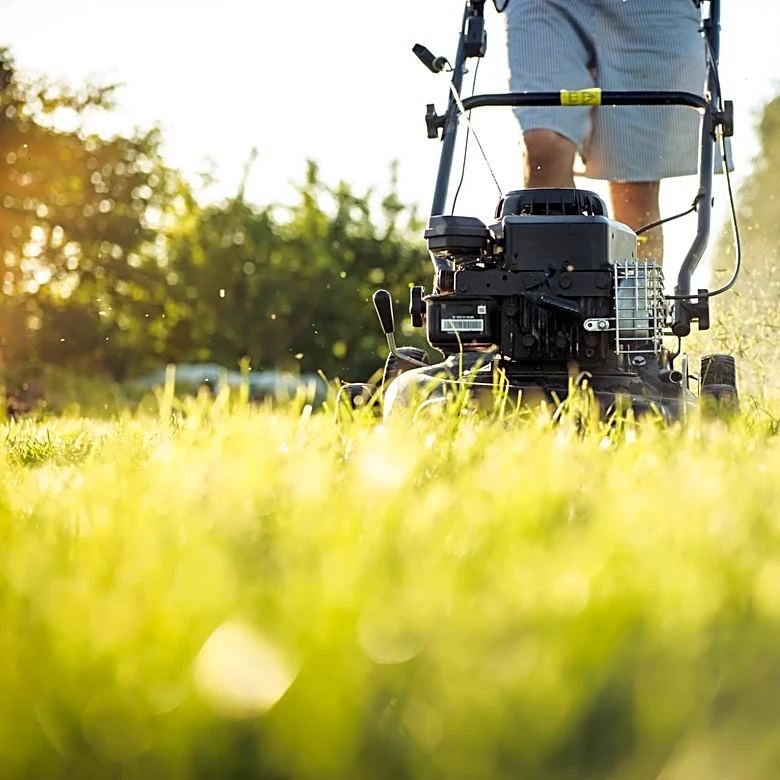 Gardening Hack: '70/30 Rule' Simplifies Yard Maintenance for Summer