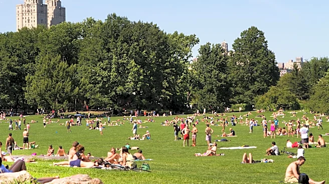 New York Summer 2026: Hotter Temperatures and Regional Variations Predicted