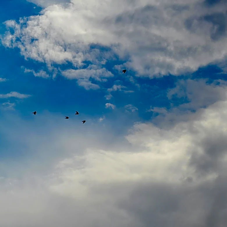 Champaign, IL: Partly Cloudy Skies with Mild Temperatures Expected Today