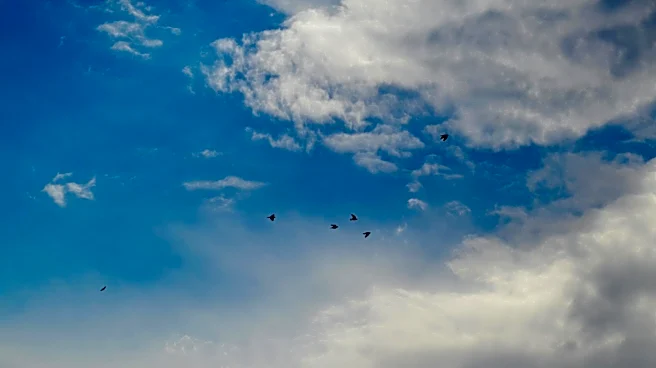 Champaign, IL: Partly Cloudy Skies with Mild Temperatures Expected Today