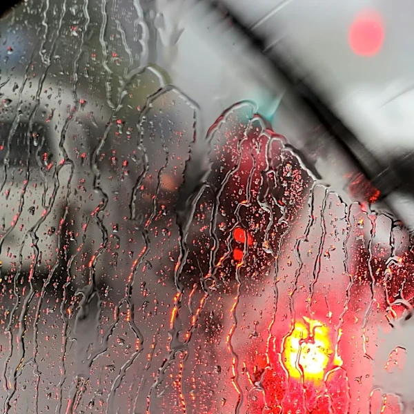 Warmer Temperatures Return to Philadelphia Area After Memorial Day Weekend, Showers Expected Wednesday