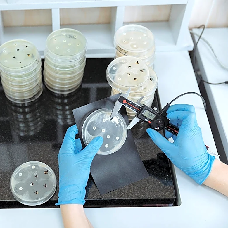 Climate Crisis Linked to Rising Antibiotic Resistance, Study Finds