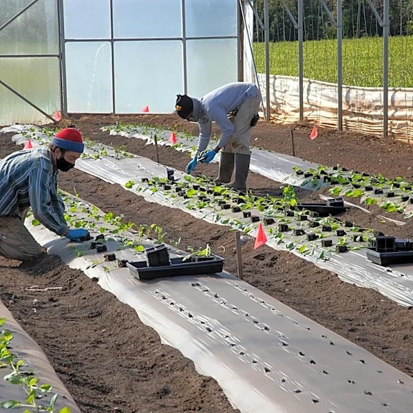 Selinsgrove to Host Free Two-Day Youth Agriculture Camp in June