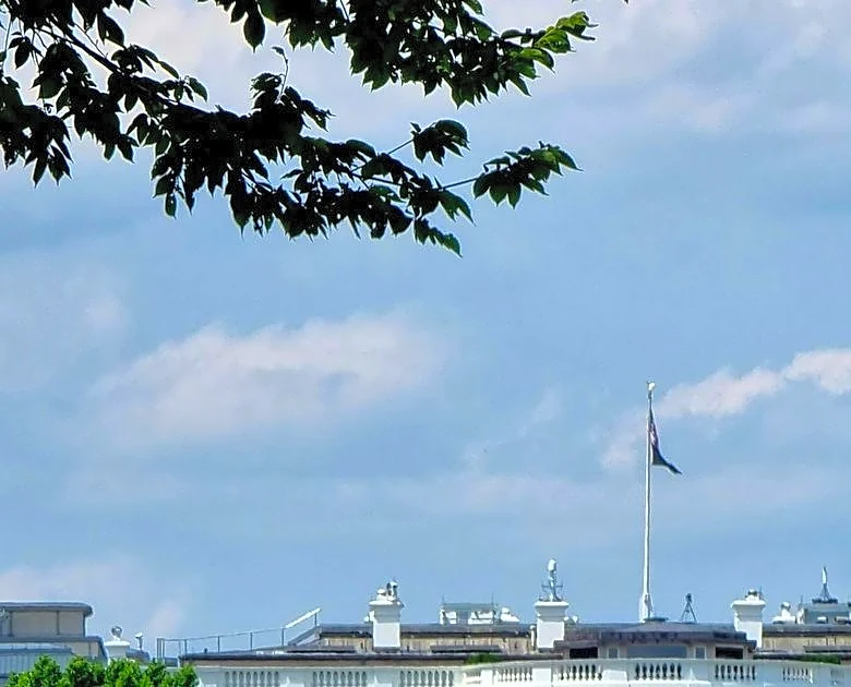 White House Builds UFC Cage for America 250 Event