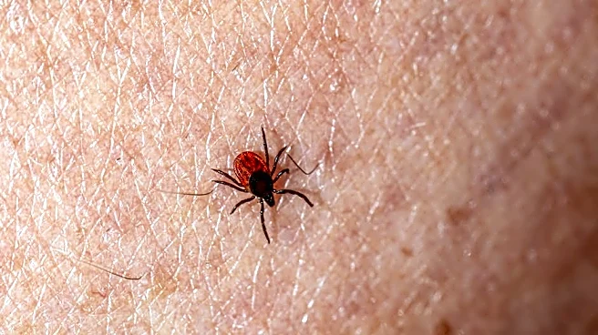 Tick Bite ER Visits Surge Ahead of Peak Summer Season