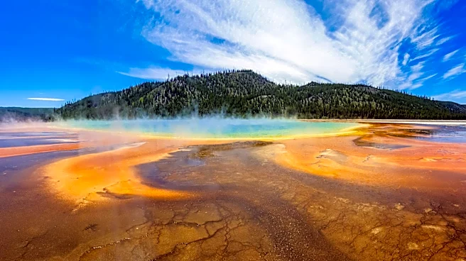 Yellowstone National Park: Grand Prismatic Spring Captivates Visitors