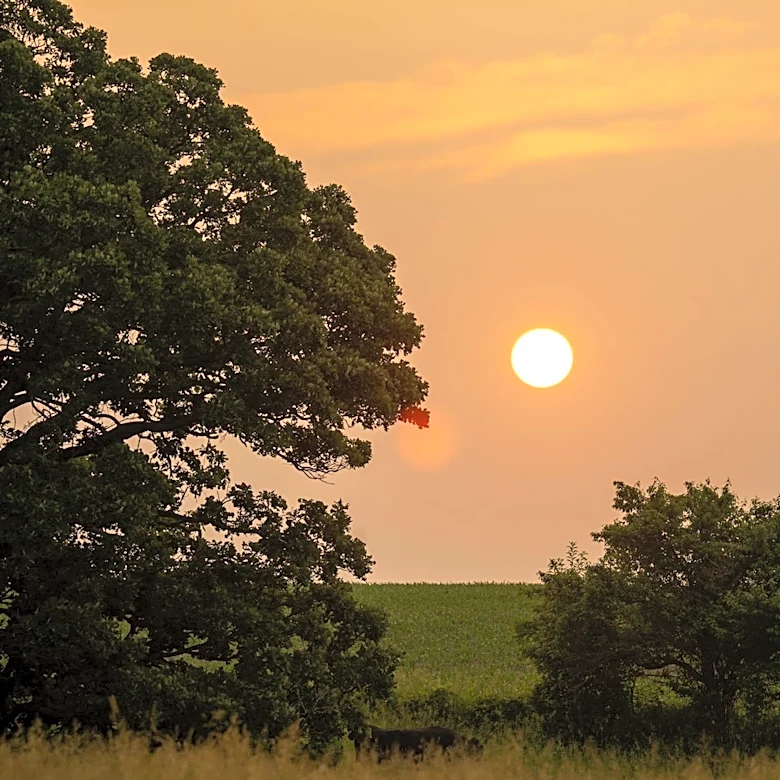 Minnesota's Summer Weather Outlook: Heat Expected to Persist