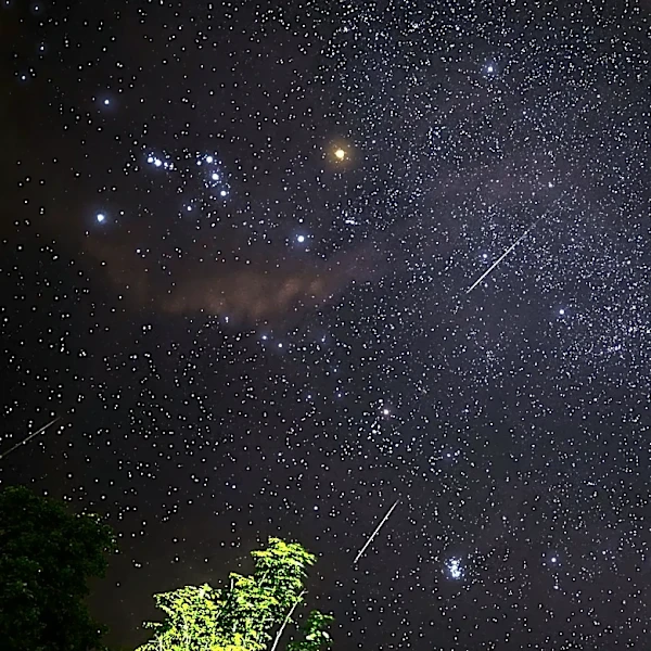 Bootids Meteor Shower Peaks June 26-27: Unpredictable Display Expected