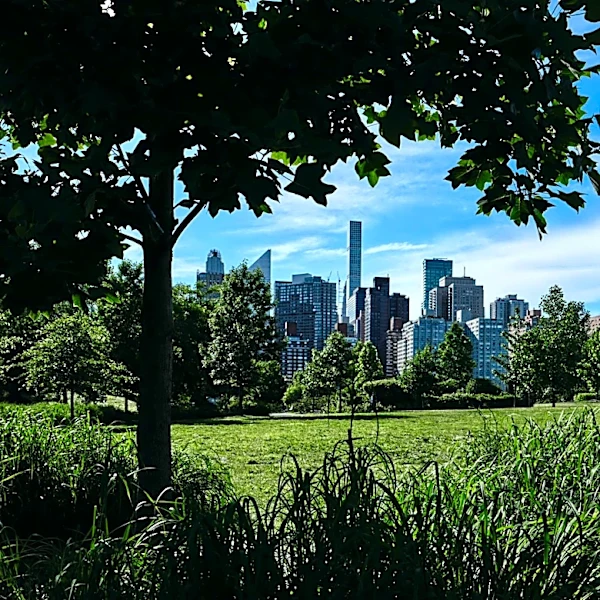 New York Summer 2026: Hotter and Drier Conditions Expected