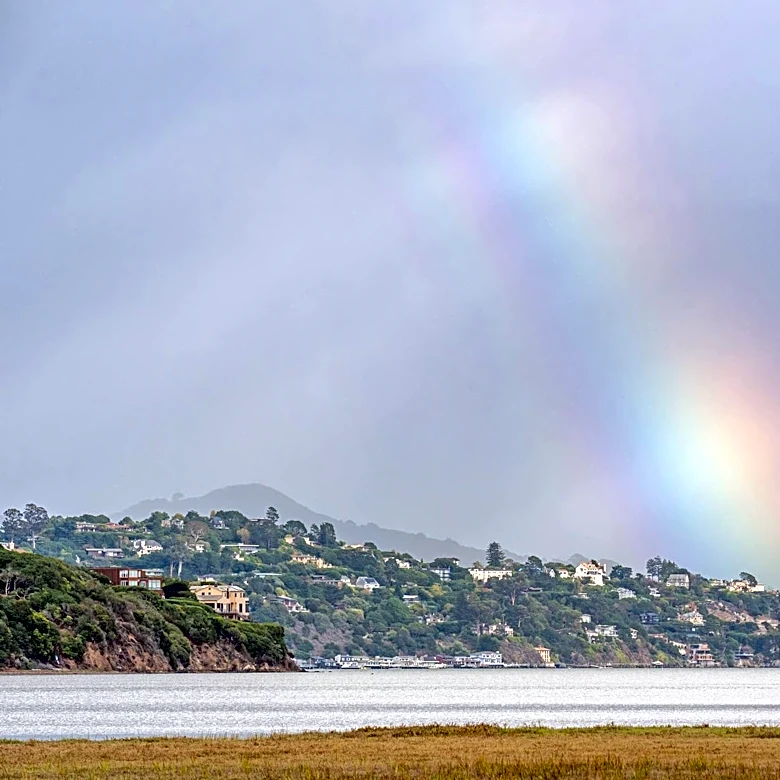 Light Rain and Chilly Conditions Forecasted for the Bay Area