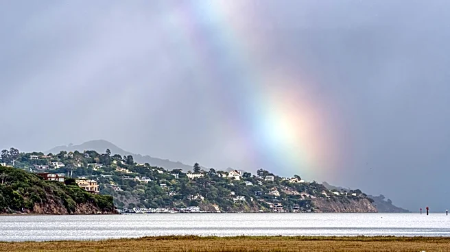 Light Rain and Chilly Conditions Forecasted for the Bay Area
