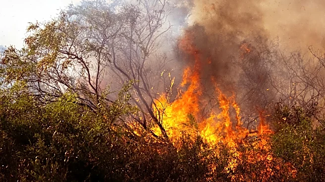 UN Predicts Record-Breaking Global Heat Over Next Five Years