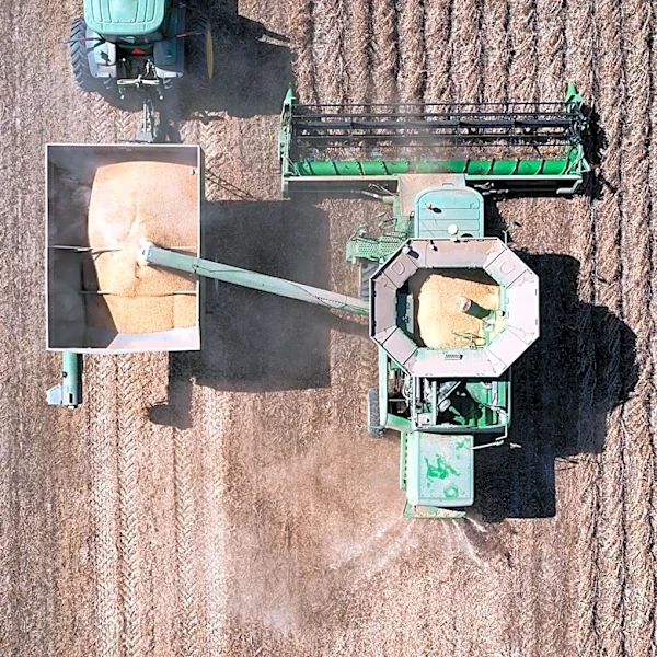 Drought Conditions Threaten US Agriculture, Midwest Crops at Risk