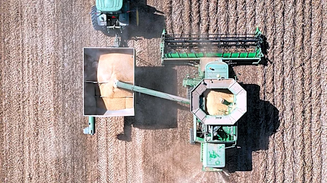 Drought Conditions Threaten US Agriculture, Midwest Crops at Risk