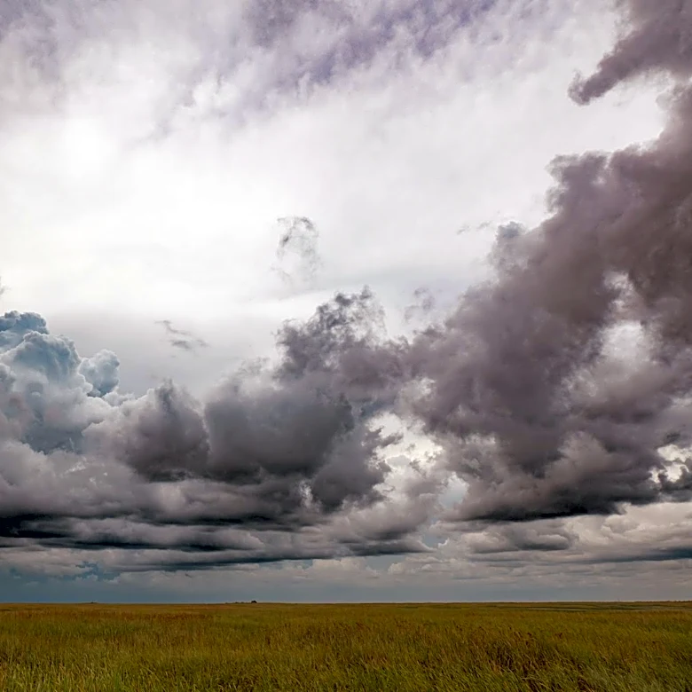 Rainy Weather Expected Throughout the Week in South Florida