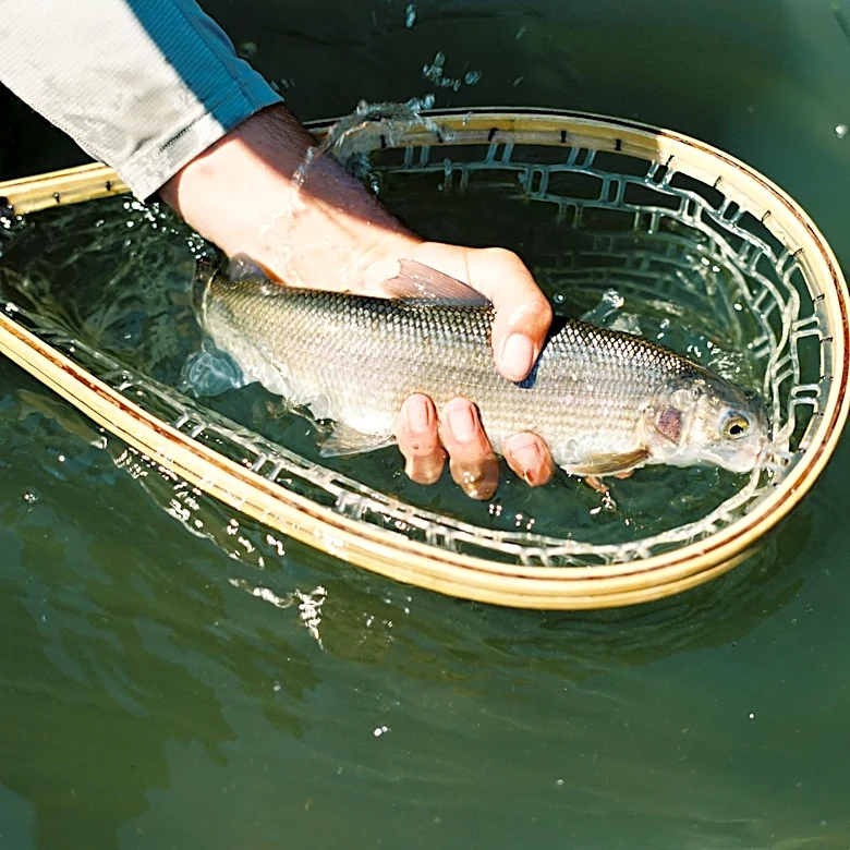 Free Fishing Days Announced for Oregon on June 6-7