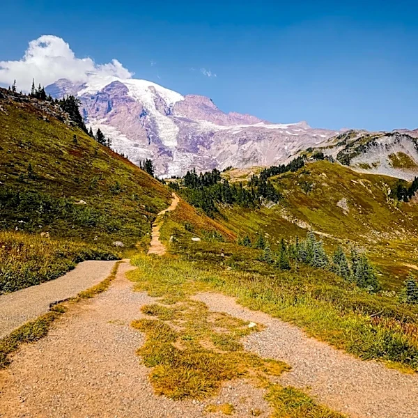 Exploring Mount Rainier's Trails: A Guide for Hikers