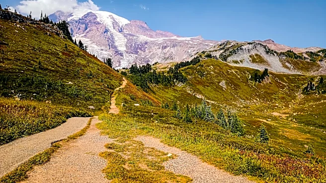 Exploring Mount Rainier's Trails: A Guide for Hikers