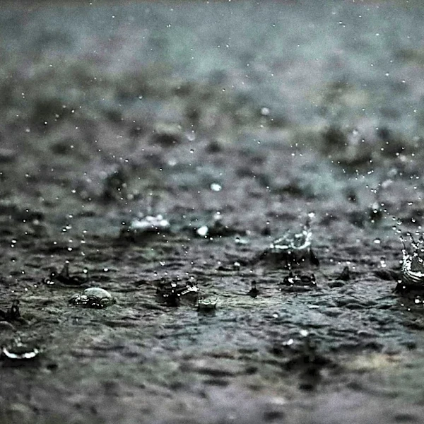 Rainy Weather Boosts Business for Some Industries