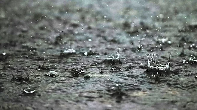 Rainy Weather Boosts Business for Some Industries