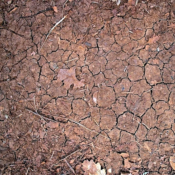 Rainfall Brings Drought Relief to Maryland
